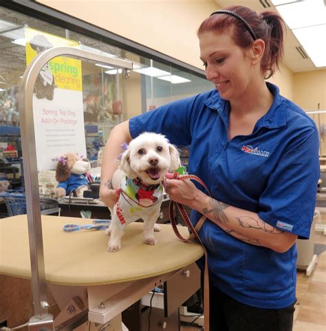 Express services can be arranged upon request, shortening service time. . Petsmart grooming services